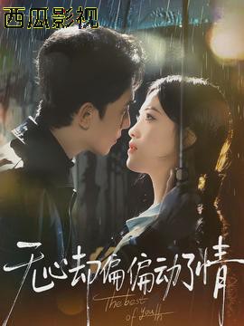 无心却偏偏动了情