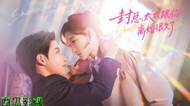 封总，太太跟你离婚很久了